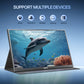 ViewMate 16.1 Portable Monitor