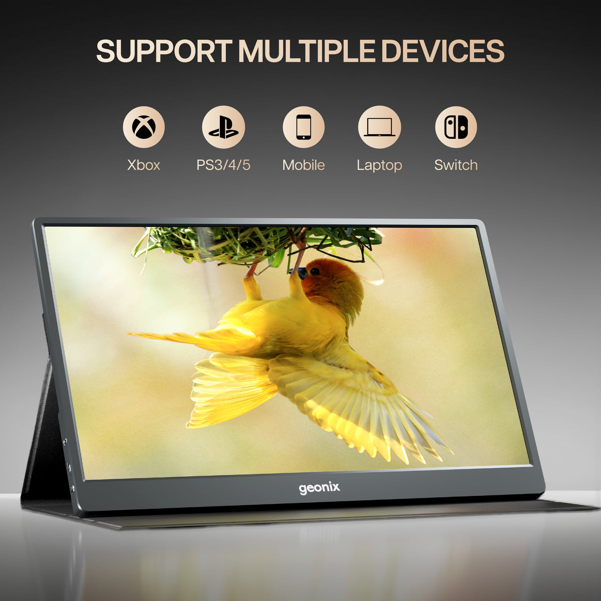 ViewMate 17.3 Portable Monitor