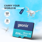 Geonix 256GB micro SD Memory Card