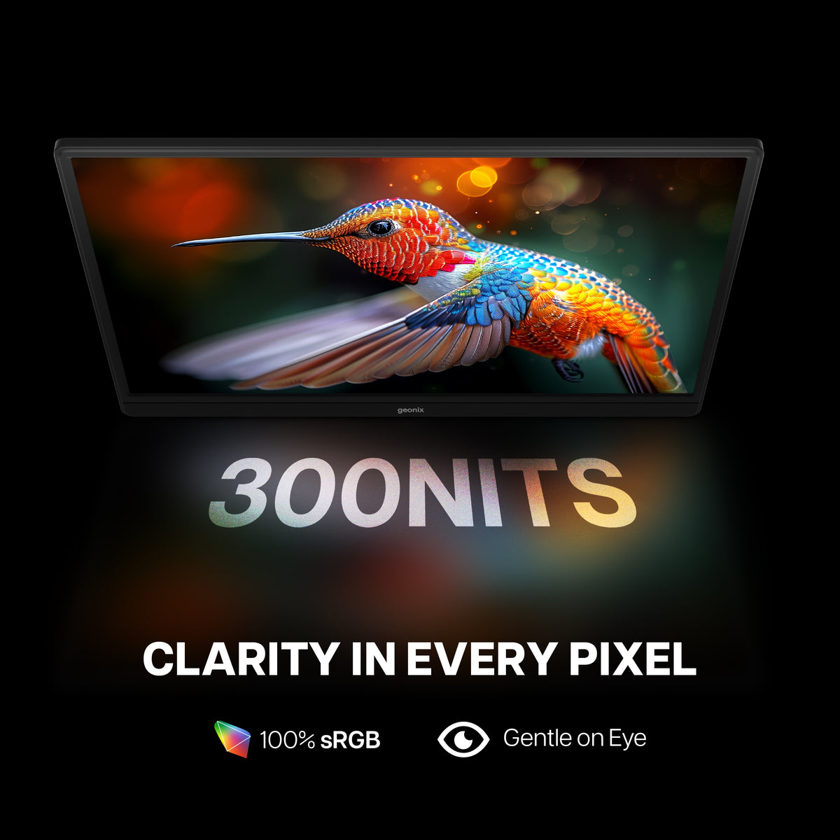 15.6 Portable Monitor